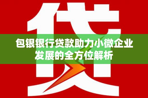 耒阳包银银行贷款助力小微企业发展的全方位解析