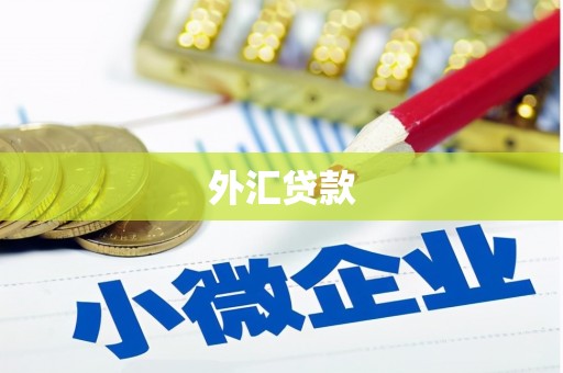 耒阳外汇贷款