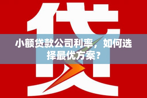 耒阳小额贷款公司利率，如何选择最优方案？