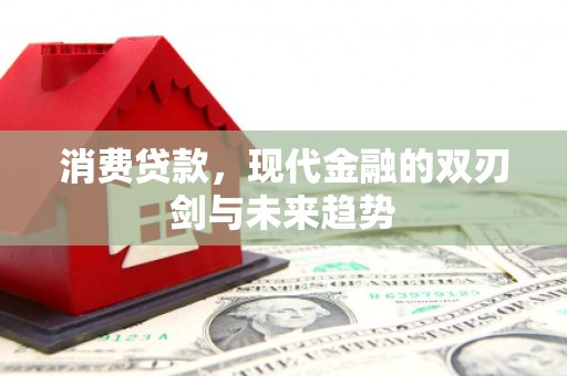 耒阳消费贷款，现代金融的双刃剑与未来趋势
