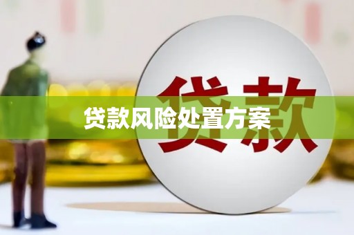 耒阳贷款风险处置方案