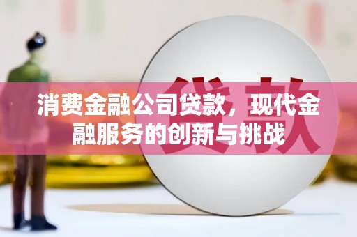 耒阳消费金融公司贷款，现代金融服务的创新与挑战