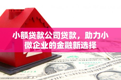 耒阳小额贷款公司贷款，助力小微企业的金融新选择