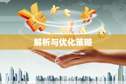 耒阳解析与优化策略