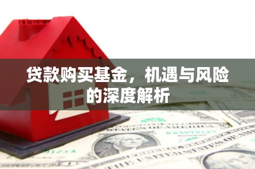 耒阳贷款购买基金，机遇与风险的深度解析