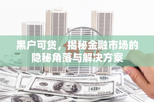 耒阳黑户可贷，揭秘金融市场的隐秘角落与解决方案