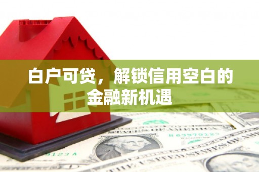 耒阳白户可贷，解锁信用空白的金融新机遇
