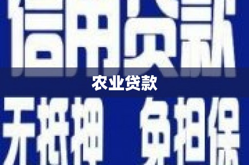 耒阳农业贷款
