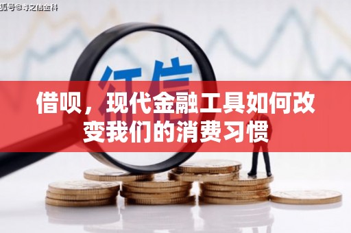 耒阳借呗，现代金融工具如何改变我们的消费习惯