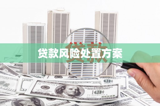 耒阳贷款风险处置方案