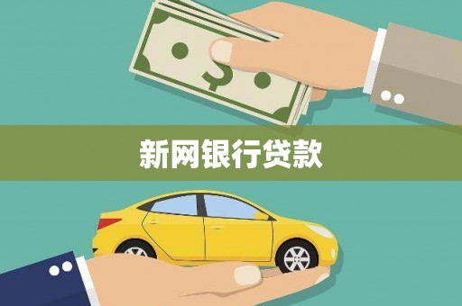 耒阳新网银行贷款