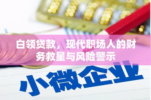 耒阳白领贷款，现代职场人的财务救星与风险警示