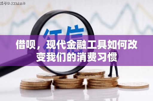 耒阳借呗，现代金融工具如何改变我们的消费习惯