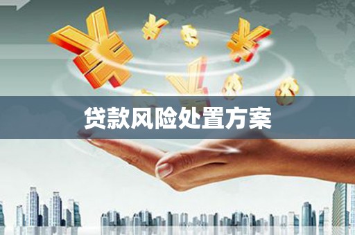 耒阳贷款风险处置方案