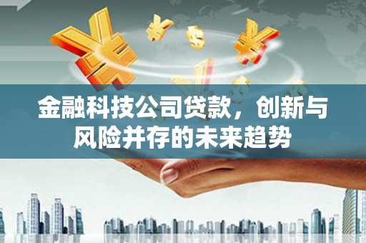 耒阳金融科技公司贷款，创新与风险并存的未来趋势