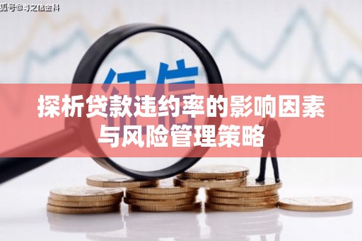 耒阳探析贷款违约率的影响因素与风险管理策略