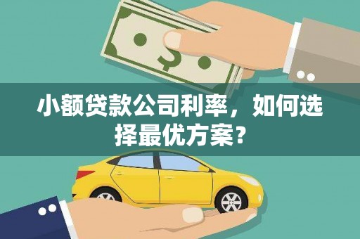 耒阳小额贷款公司利率，如何选择最优方案？