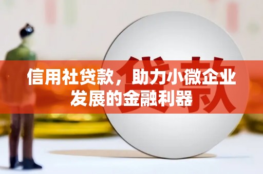 耒阳信用社贷款，助力小微企业发展的金融利器