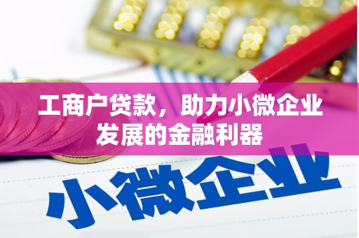 耒阳工商户贷款，助力小微企业发展的金融利器
