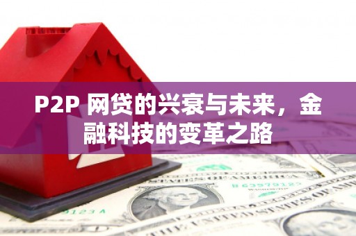 耒阳P2P 网贷的兴衰与未来，金融科技的变革之路