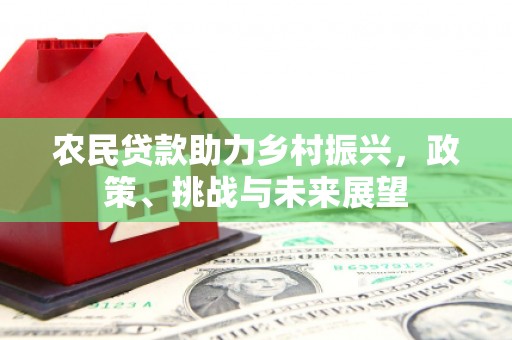 耒阳农民贷款助力乡村振兴，政策、挑战与未来展望