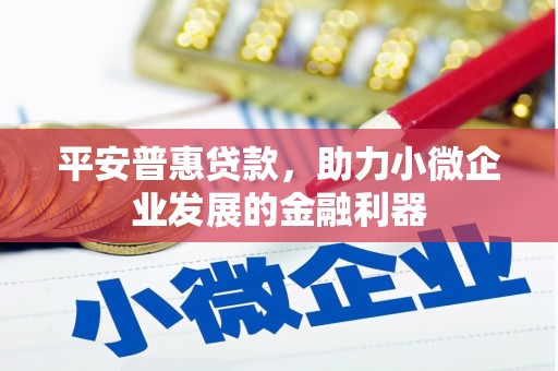 耒阳平安普惠贷款，助力小微企业发展的金融利器