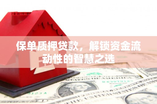 耒阳保单质押贷款，解锁资金流动性的智慧之选