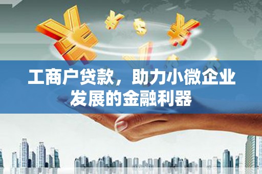 耒阳工商户贷款，助力小微企业发展的金融利器