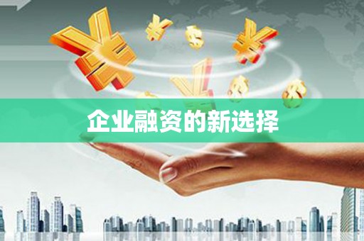 耒阳企业融资的新选择