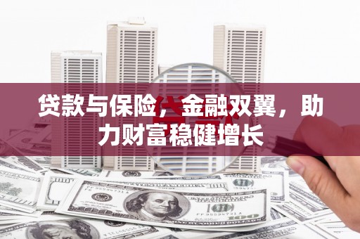 耒阳贷款与保险，金融双翼，助力财富稳健增长