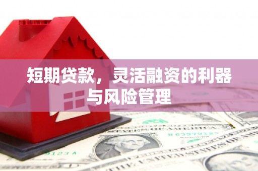 耒阳短期贷款，灵活融资的利器与风险管理
