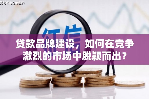 耒阳贷款品牌建设，如何在竞争激烈的市场中脱颖而出？