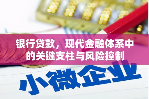耒阳银行贷款，现代金融体系中的关键支柱与风险控制