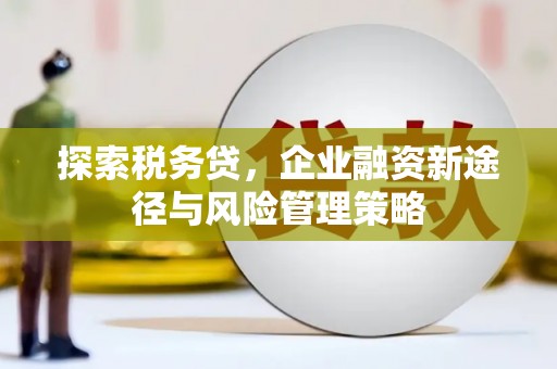 耒阳探索税务贷，企业融资新途径与风险管理策略