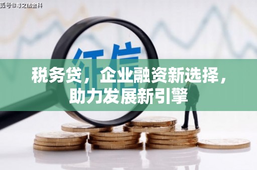 耒阳税务贷，企业融资新选择，助力发展新引擎