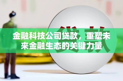 耒阳金融科技公司贷款，重塑未来金融生态的关键力量