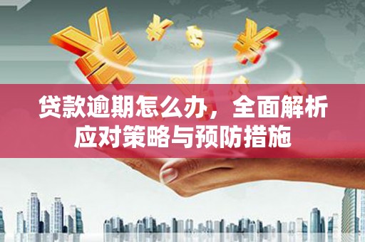 耒阳贷款逾期怎么办，全面解析应对策略与预防措施