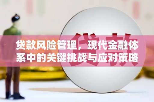 耒阳贷款风险管理，现代金融体系中的关键挑战与应对策略