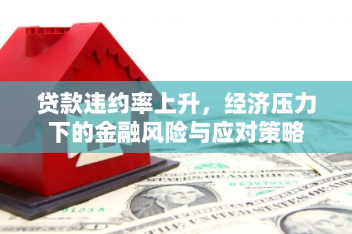 耒阳贷款违约率上升，经济压力下的金融风险与应对策略