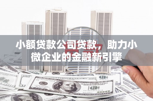 耒阳小额贷款公司贷款，助力小微企业的金融新引擎