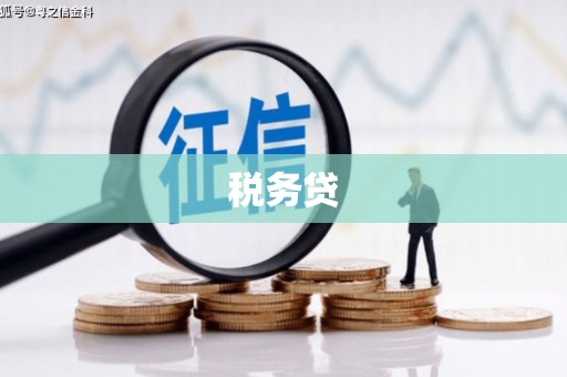 耒阳税务贷