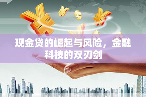 耒阳现金贷的崛起与风险，金融科技的双刃剑