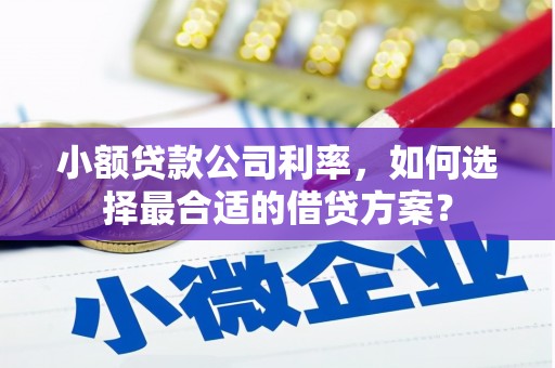 耒阳小额贷款公司利率，如何选择最合适的借贷方案？