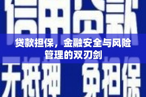 耒阳贷款担保，金融安全与风险管理的双刃剑