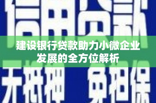 耒阳建设银行贷款助力小微企业发展的全方位解析