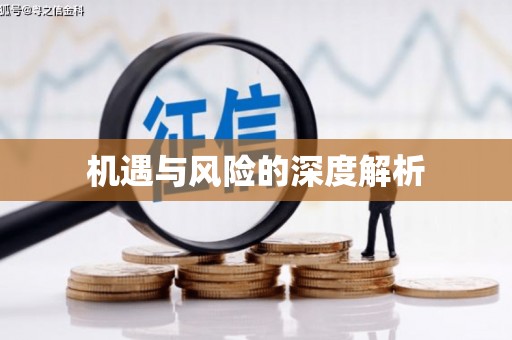 耒阳机遇与风险的深度解析