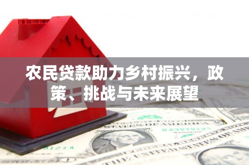 耒阳农民贷款助力乡村振兴，政策、挑战与未来展望