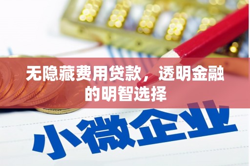 耒阳无隐藏费用贷款，透明金融的明智选择