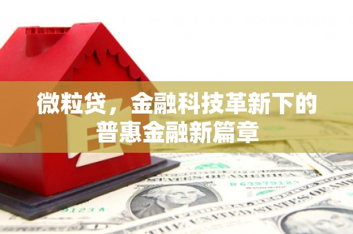 耒阳微粒贷，金融科技革新下的普惠金融新篇章
