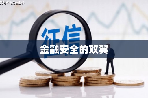 耒阳金融安全的双翼
